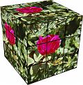cube
