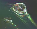 droplet_1