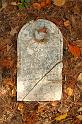 fall_03