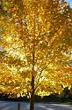 fall_14