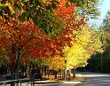 fall_15