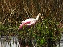florida07e