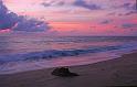 florida_sunrise