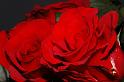flower12