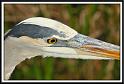gbh_2