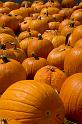 halloween_1