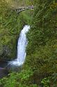 multnomah_2