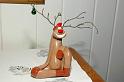 reindeer