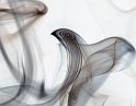 smoke3