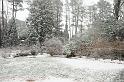 snow_5