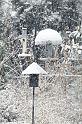 snow_6