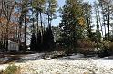snow_7