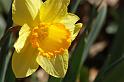 spring6