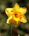 spring8
