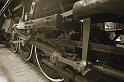 steamer_1