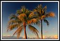 sunset_20