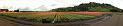 tulip_field