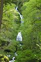 wahkeena_1