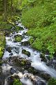 wahkeena_2