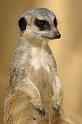 zoo_1
