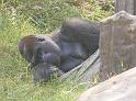 zoo_2