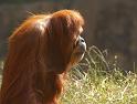 zoo_4