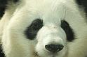 zoo_5