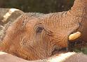 zoo_6